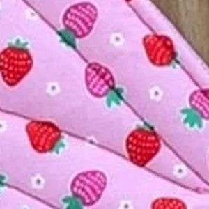 Strawberry Wishes fabric